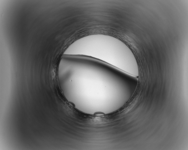 X0000094940382200711291026