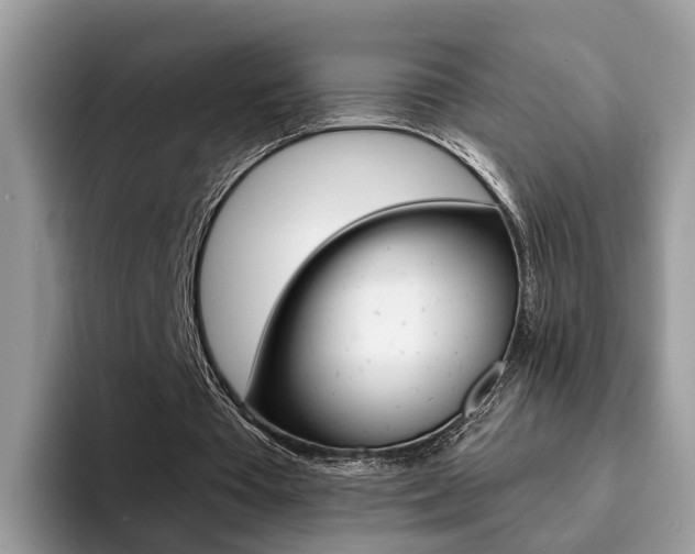 X0000094940385200711291025