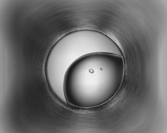 X0000094940389200711291025