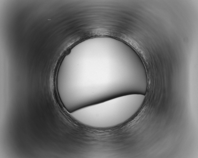 X0000094940390200711291025