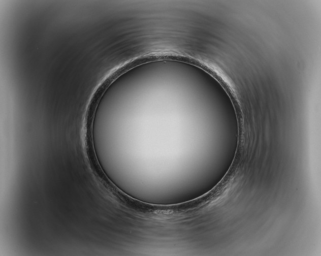 X0000094940391200711291025