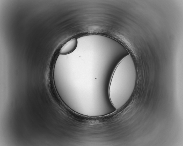 X0000094940392200711291025