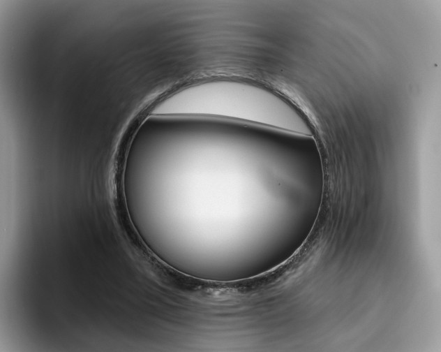 X0000094940395200711291025