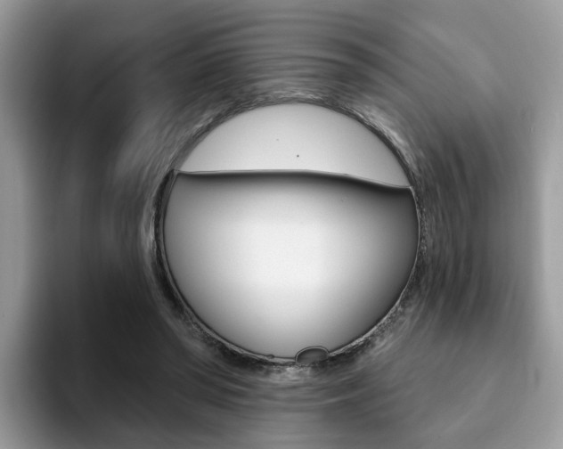 X0000094940398200711291025