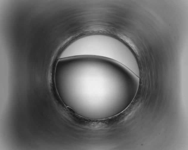 X0000094940399200711291025