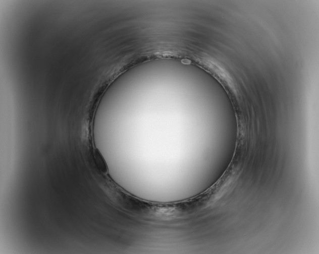 X0000094940401200711291025