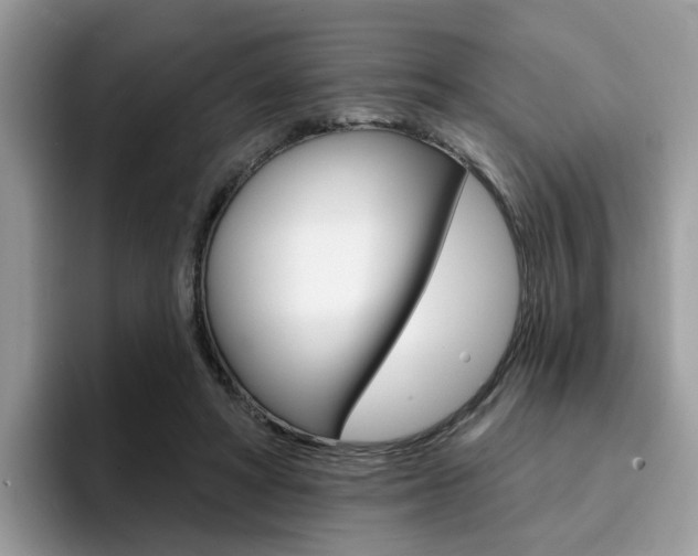 X0000094940402200711291025