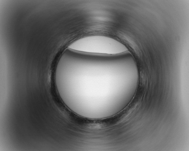 X0000094940404200711291025