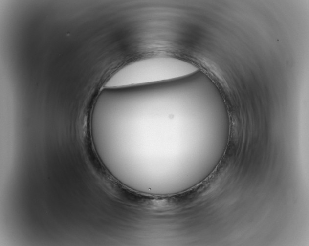 X0000094940406200711291025