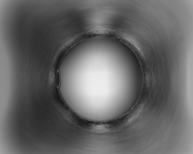 X0000094940407200711291025