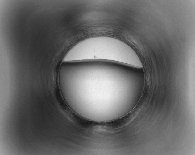 X0000094940408200711291025