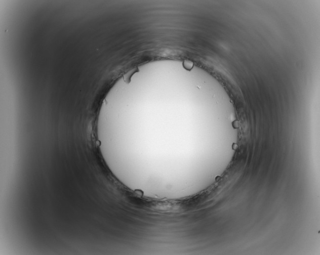 X0000094940415200711291025