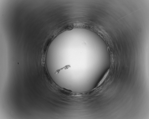 X0000094940419200711291025
