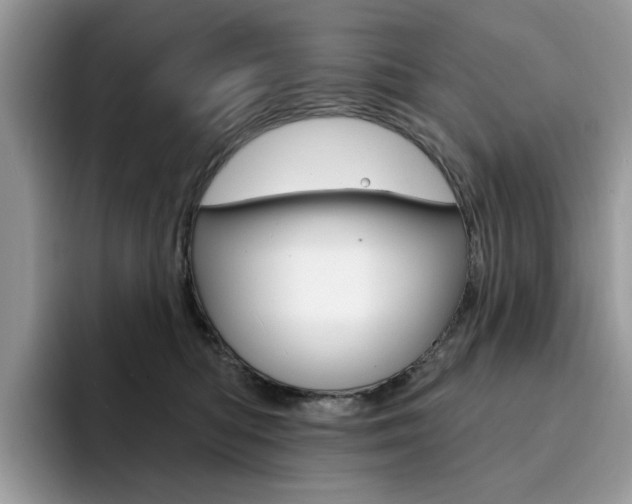 X0000094940422200711291025