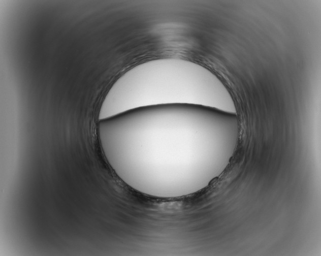 X0000094940426200711291025
