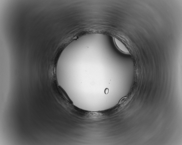 X0000094940429200711291025