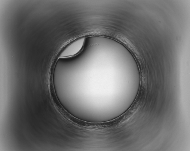 X0000094940434200711291024