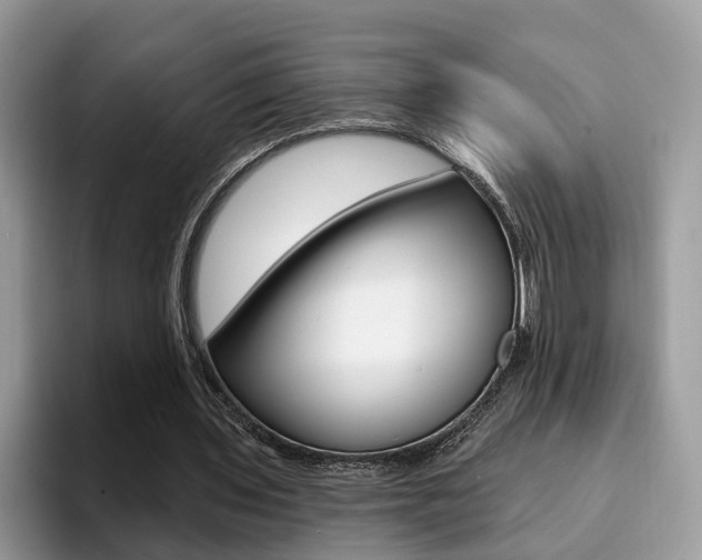 X0000094940435200711291024