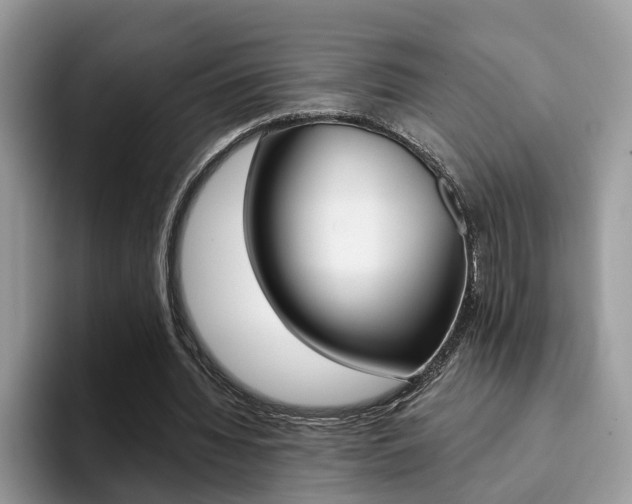 X0000094940436200711291024