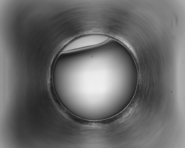 X0000094940437200711291024