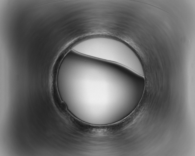 X0000094940440200711291024