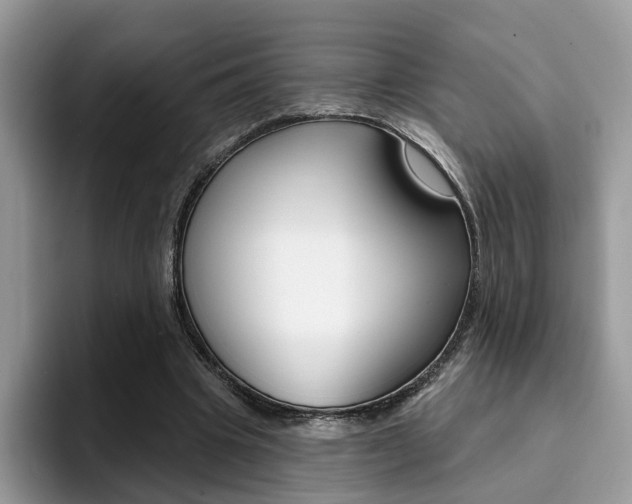 X0000094940441200711291024