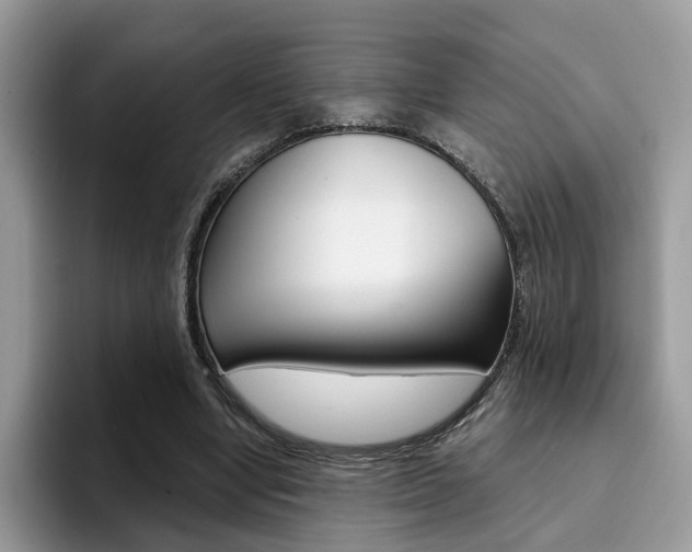 X0000094940442200711291024