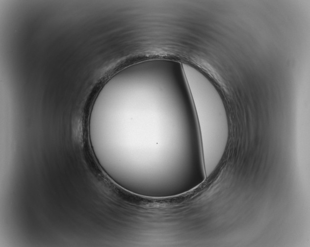 X0000094940444200711291024