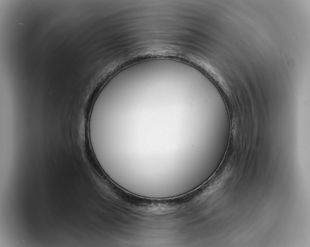 X0000094940445200711291024