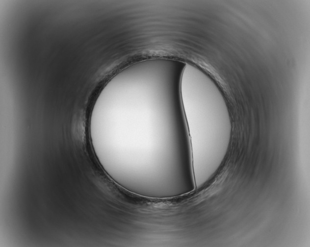 X0000094940446200711291024