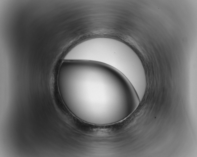 X0000094940448200711291024