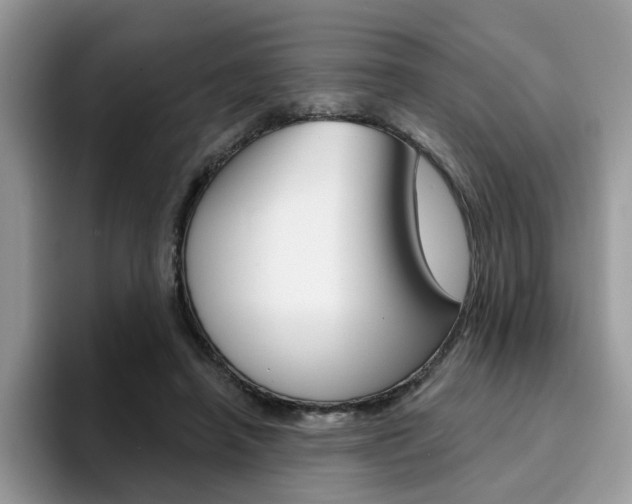 X0000094940450200711291024