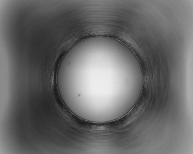 X0000094940454200711291024