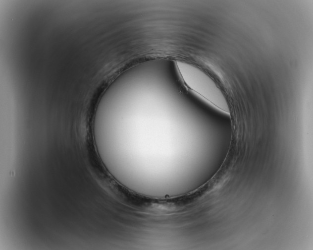 X0000094940455200711291024