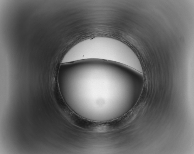 X0000094940456200711291024