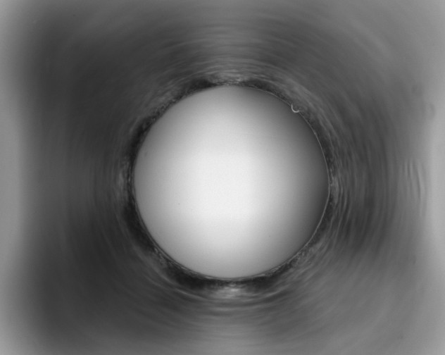 X0000094940460200711291024