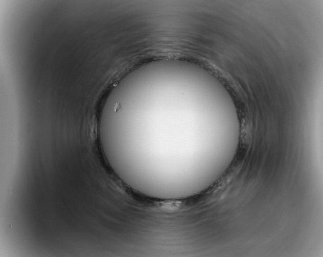 X0000094940474200711291025
