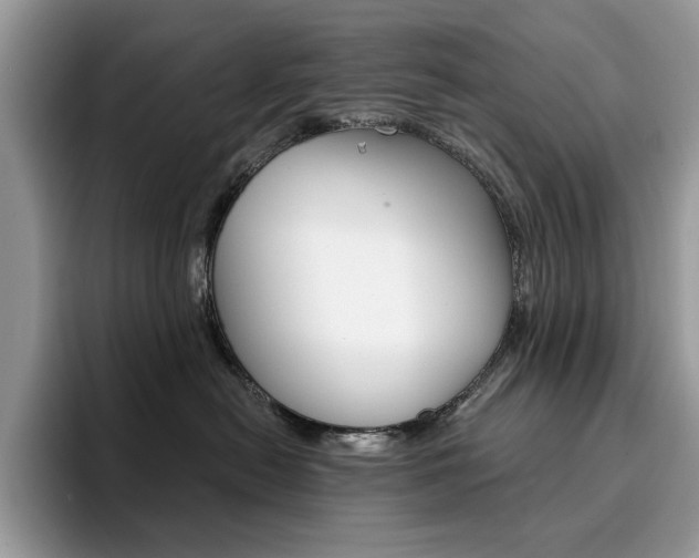 X0000094940478200711291025