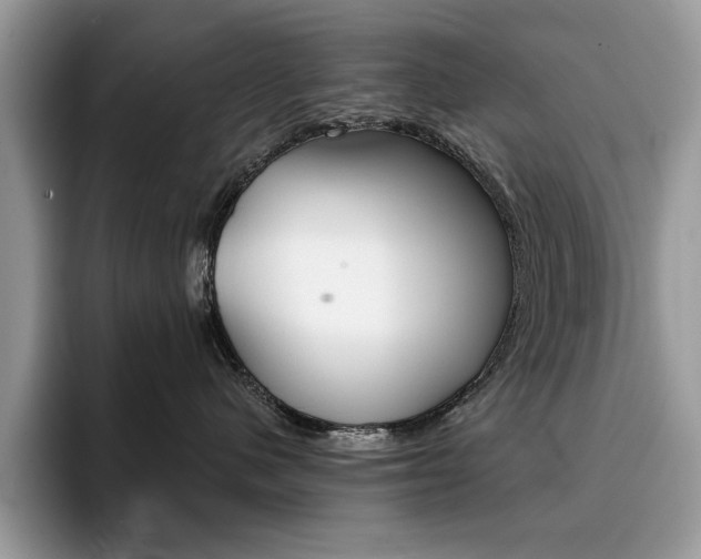 X0000094940480200711291025
