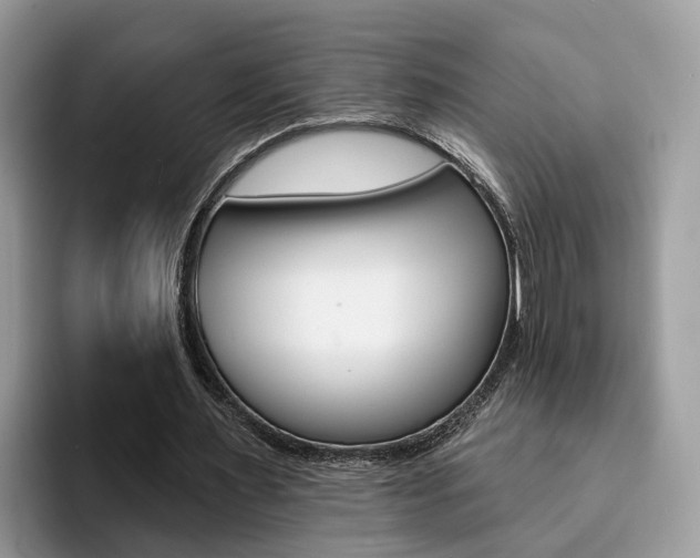 X0000094940483200711291024