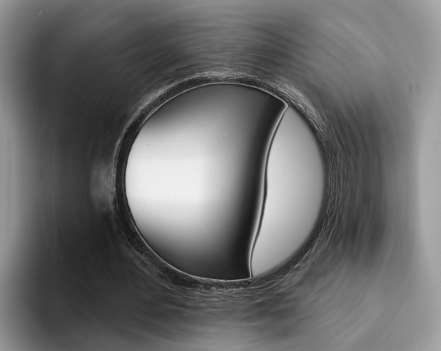 X0000094940484200711291024
