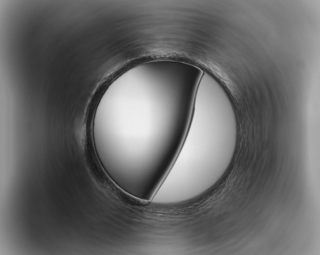 X0000094940488200711291024