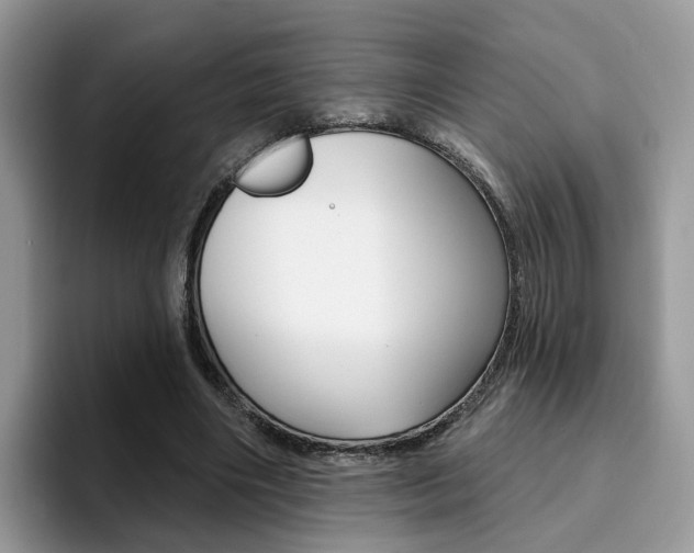 X0000094940490200711291024