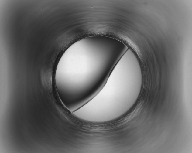 X0000094940493200711291024