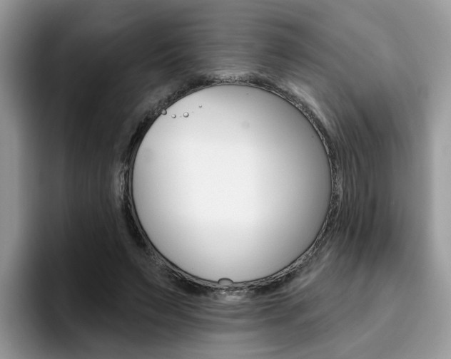 X0000094940495200711291024