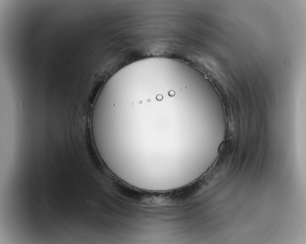 X0000094940503200711291024