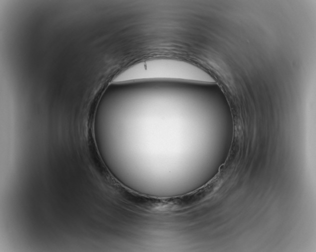 X0000094940504200711291024