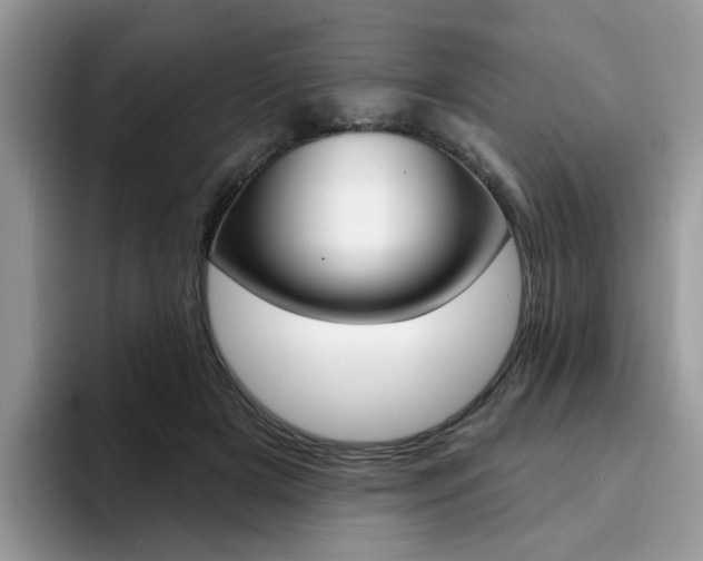 X0000094940505200711291024