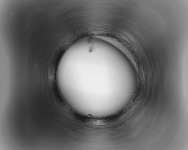 X0000094940507200711291024