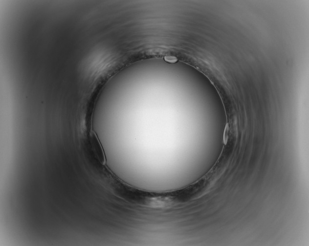 X0000094940508200711291024